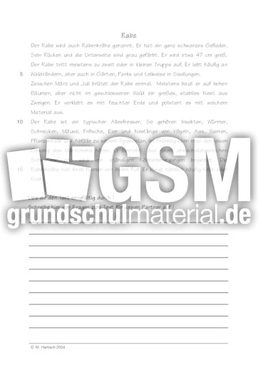 Rabe.pdf